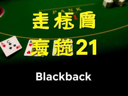 21點贏家秘訣大公開