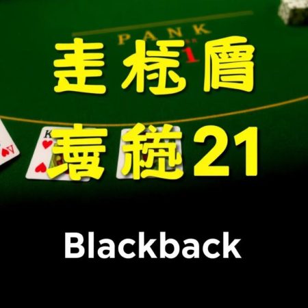 21點贏家秘訣大公開